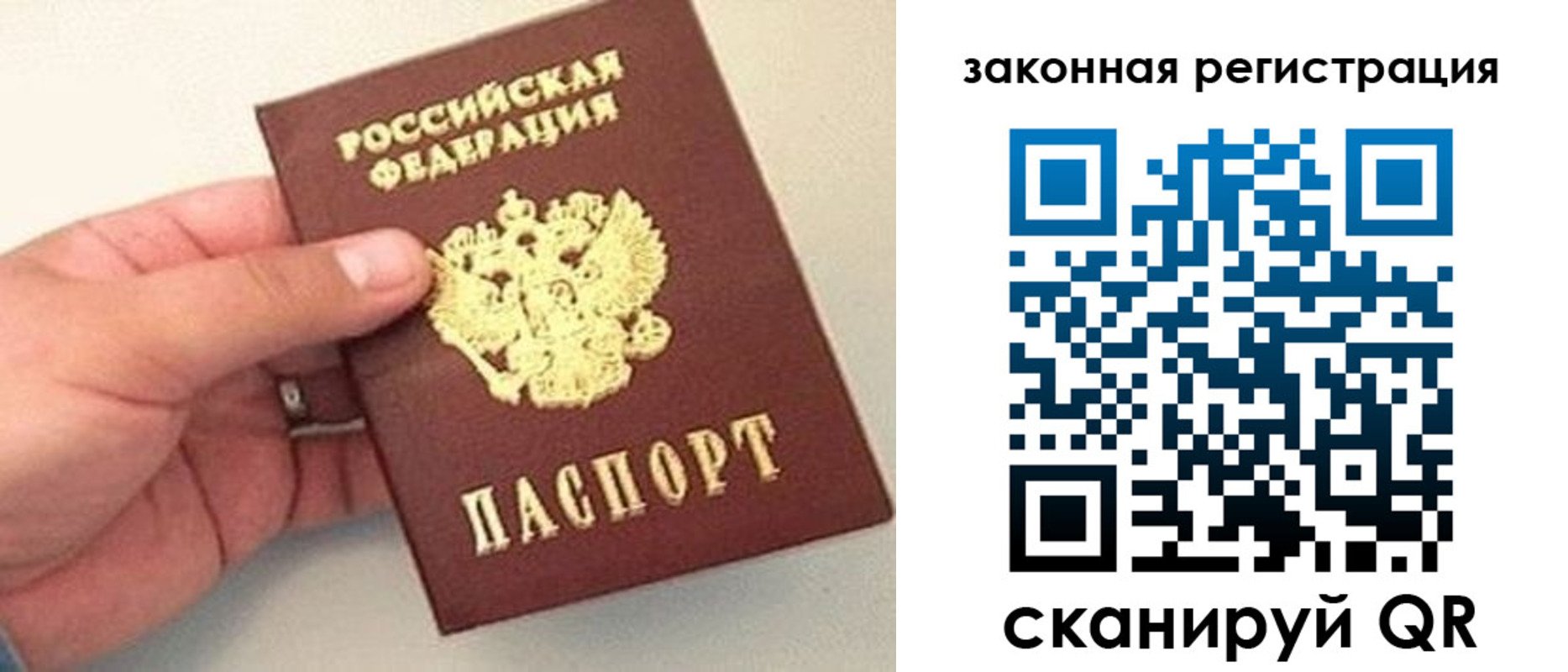 прописка для школы в Зарайске